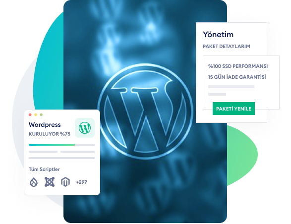wordpress hosting